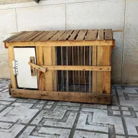 قفس خروس و مرغ