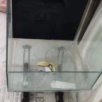 آکواریوم و پالاداریوم