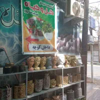 نیروی کار و نگهبان شب