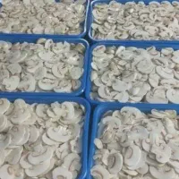 قارچ و تره بار|خوردنی و آشامیدنی|شیراز, محراب|دیوار