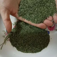 نعنا خشک امسالی