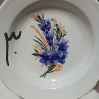 تعداد بشقاب و یا خورشتی تو آگهی نوشتم دونه ۹۰