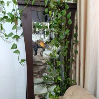 سرویس خواب دونفره.ویترین