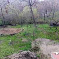 فروش-باغ-در-سرکان