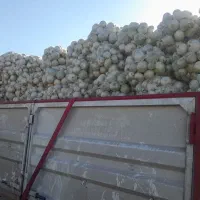 راننده پایه یک هستم ۳سال سابغه با کامیون کشنده