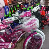 دوچرخه ۱۲ صورتی پخش|دوچرخه، اسکیت، اسکوتر|محمدشهر, محمدشهر|دیوار