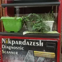 استندگل