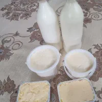 انواع دوغ ماست شیرکره محلی وخانگی