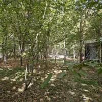 باغ سدکارده|فروش خانه و ویلا|مشهد, کارده|دیوار