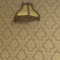 فروش لوستر وپروژکتور به دلیل تغیر شغل|لوستر و چراغ آویز|کرمانشاه, |دیوار