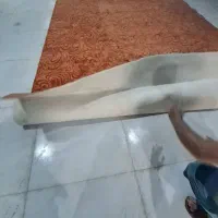 موکت پرزبلند پالاز|موکت|خرمآباد, |دیوار