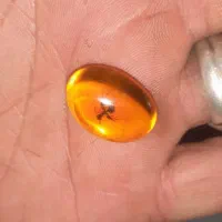 نگین انگشتر کهربا|جواهرات|اردبیل, |دیوار