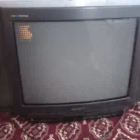 تلوزیون  سنی بزرگ سالم