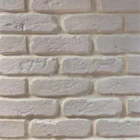 (یک قیمت استثنایی)تولیدونصب سنگ و آجر آنتیک|مصالح و تجهیزات ساختمان|ساری, |دیوار