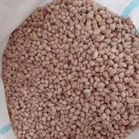 لوبیا چیتی و قرمز سرحدی