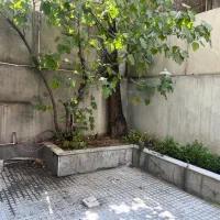 ۶۰ متر خواجه عبدالله با ۴۰ متر حیاط اختصاصی|اجارهٔ آپارتمان|تهران, مهران (سیدخندان)|دیوار