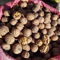 گردوو