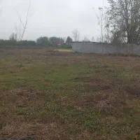 فروش-شالیزار-سنتی-به-متراژ-10000-هزار-متر-مربع