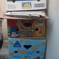 کارتون اسباب کشی