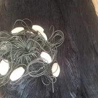 تور شیری
