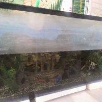 آکواریوم