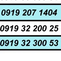 0919.226.84.82|سیمکارت|تهران, تهرانسر مرکزی|دیوار