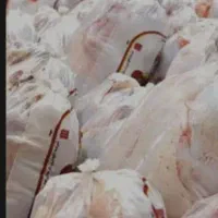 مرغ روز مددی