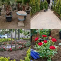 هرس کردن .کاشت گل گیاه .سمپاشی گل و گیاه