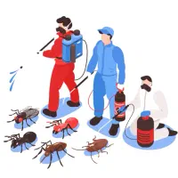 خدمات سمپاشی