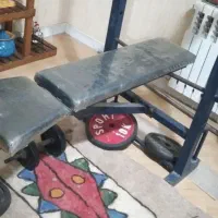 میز هالتر