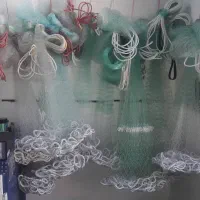 تورماهیگیری