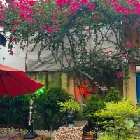 جذب نیرو کار