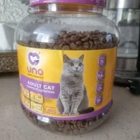 غذای خشک گربه اونو