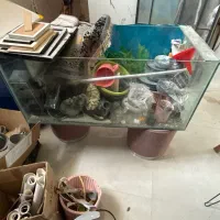 آکواریوم بزرگ با مرجان وسایل