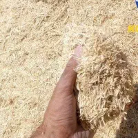 کاه خرمان کوت