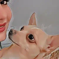 شیواوا فانتزی|سگ|قم, آزادگان|دیوار