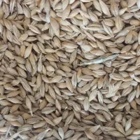 خرید و فروش محصولات کشاورزی