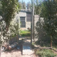 دامداری آماده مشارکت|مشارکت در ساخت املاک|هشتگرد, هشتگرد قدیم|دیوار