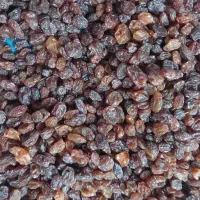 کشمش ابلیمو.ابغوره.پسته .شیراز)