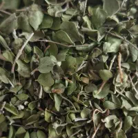 آویشن تازه و تمیز عطری