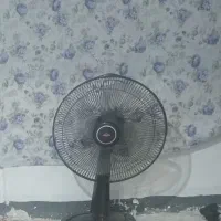 پنگه‌پارس خزر ۲ماه استفاده شده نونو