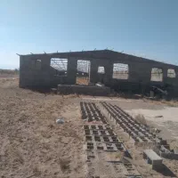 مرغداری-20-هزارقطعه-ای