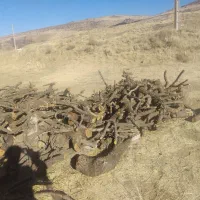 کار کردن با اره متوری