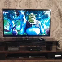 تلویزیون صوتی تصویری