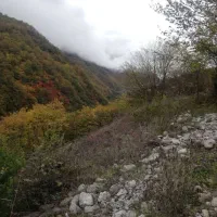 فروش زمین تجاری و مسکونی در دوهزار تنکابن|فروش زمین و ملک کلنگی|خرمآباد (تنکابن), |دیوار