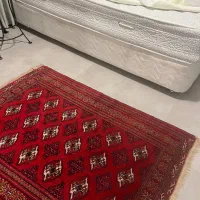 تخت ۱/۵ نفره|تخت و سرویس خواب|شیراز, شهرک ایثار|دیوار