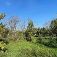 فروش-زمین-گلستان-400-متر-مسکونی-ایزدشهر