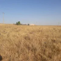 زمین کشاورزی باقابلیت تغییرکاربری اراضی کوسه لر