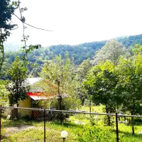 کلبه-جنگلی-کنار-رودخانه
