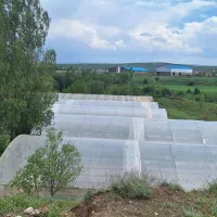 گلخانه و مسکونی